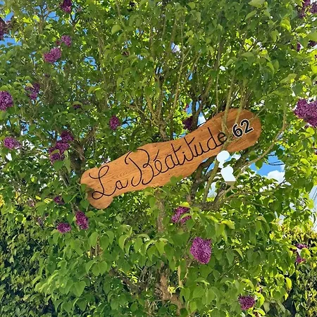 Beatitude62 파켐버그스